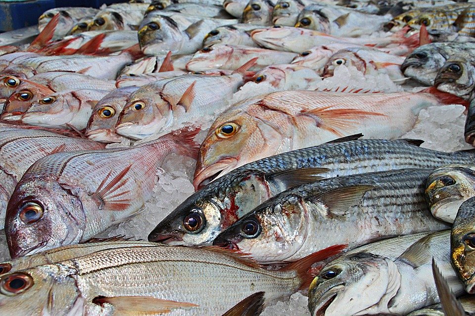 Poisson